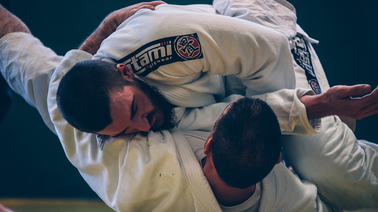 brazilian-jiu-jitsu-g5a9603efc_1280